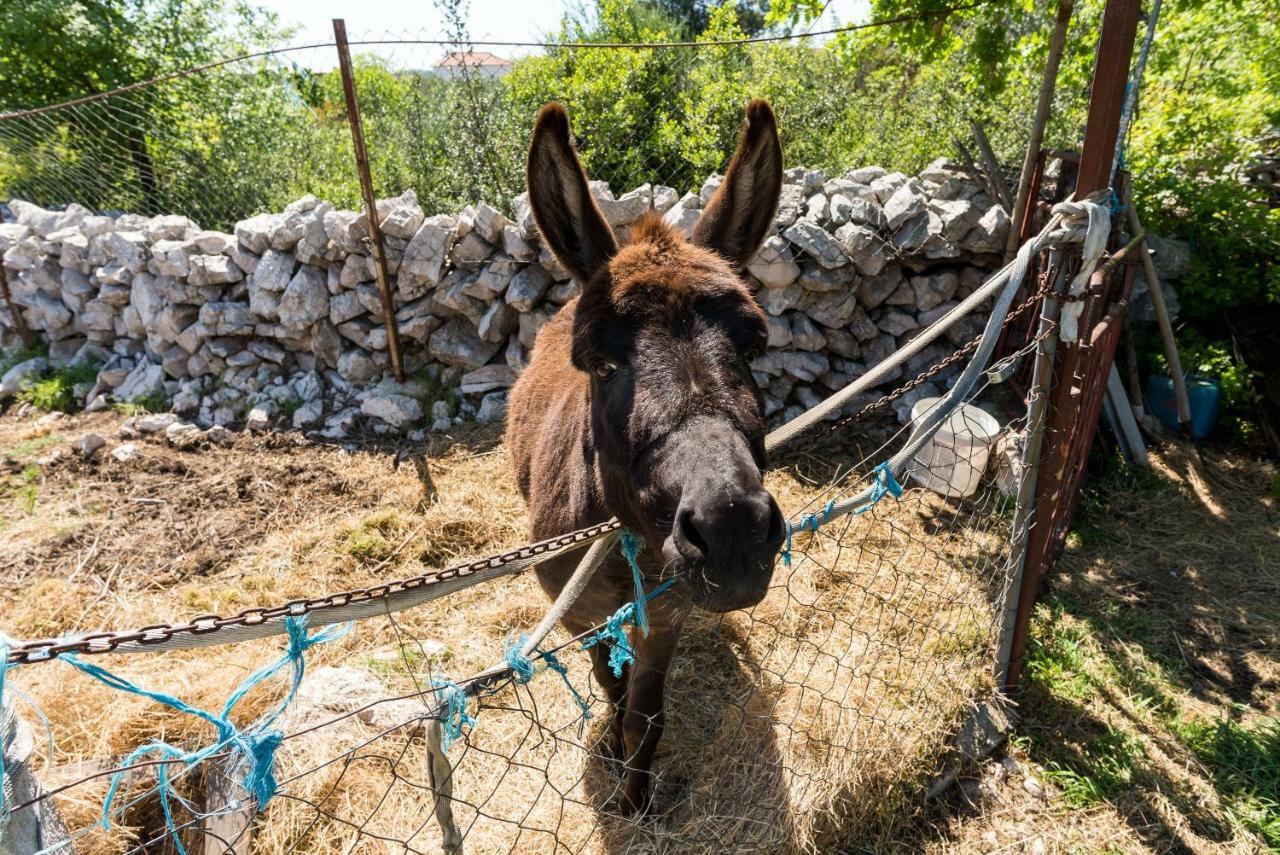 Authentic Camping Dalmatia Pirovac Buitenkant foto